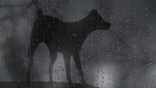 Heart of a Dog still 2