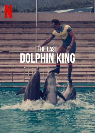 The Last Dolphin King still 1