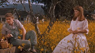East of Eden still 6