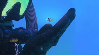 Puff: Wonders of the Reef still 1