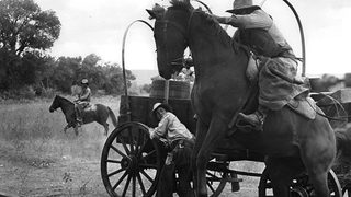 The Culpepper Cattle Co. still 2