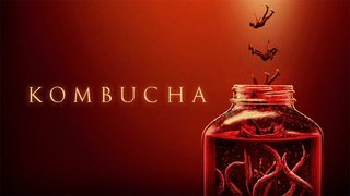 Kombucha still 1
