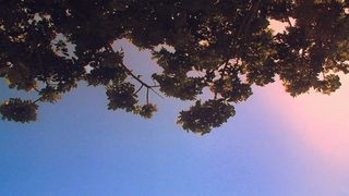 It's Such a Beautiful Day still 8