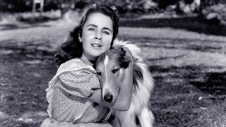 Courage of Lassie still 3
