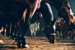 Racing Stripes still 7
