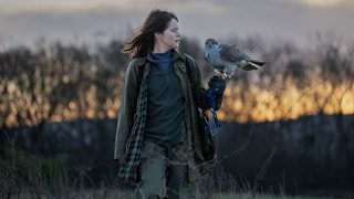 H Is for Hawk still 6