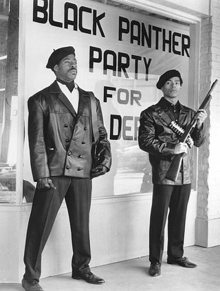Panther still 6