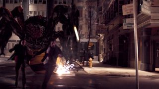 Spiders still 5