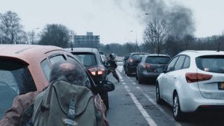 The Fox still 8