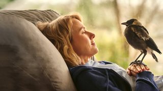 Penguin Bloom still 3