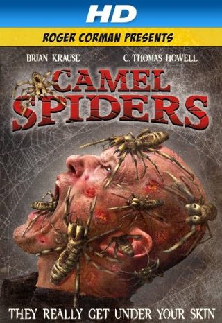 Camel Spiders still 6