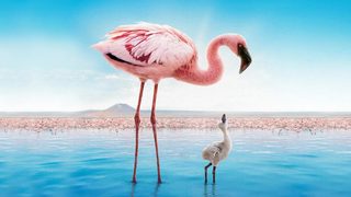 The Crimson Wing: Mystery of the Flamingos still 3