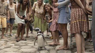 My Penguin Friend still 6