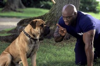 See Spot Run still 7