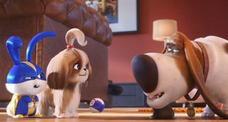 The Secret Life of Pets 2 still 4