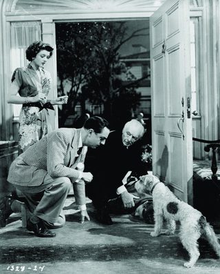 The Thin Man Goes Home still 7