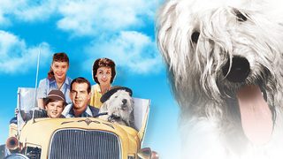 The Shaggy Dog still 1