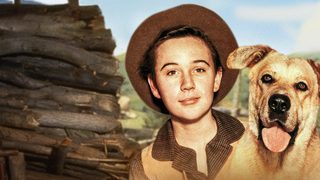 Old Yeller still 1