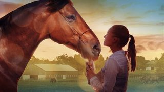 A Horse Tale still 2