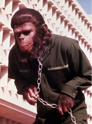 Conquest of the Planet of the Apes still 3