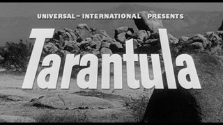 Tarantula still 5