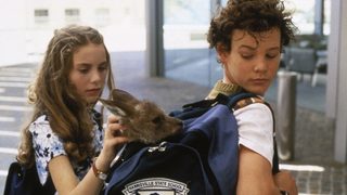 Joey still 1