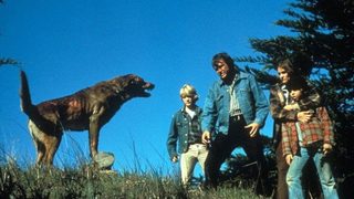 The Pack still 4