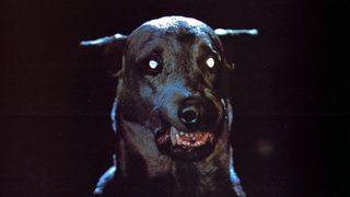 Zoltan… Hound of Dracula still 1