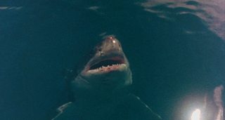 Cruel Jaws still 2