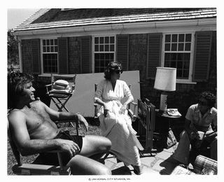 Jaws 2 still 8