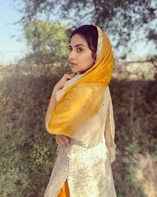 Teeja Punjab still 4