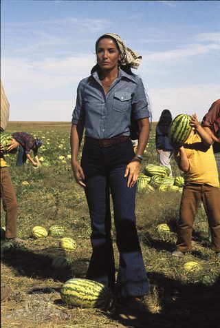 Mr. Majestyk still 8