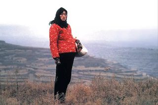 The Story of Qiu Ju still 7