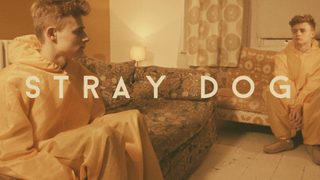 Stray Dog still 3
