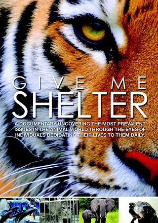 Give Me Shelter still 1
