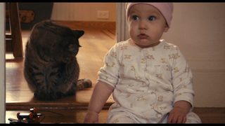 Babies still 2