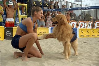 Air Bud: Spikes Back still 6