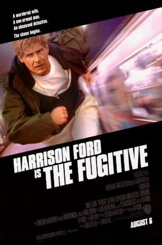 The Fugitive still 6