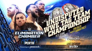 WWE Elimination Chamber: Perth still 4