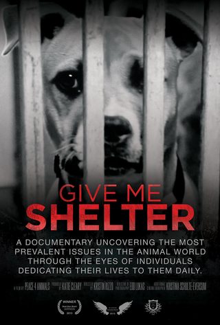 Give Me Shelter still 2
