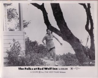 Terror at Red Wolf Inn still 3