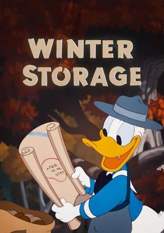Winter Storage still 5
