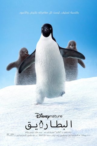 Penguins still 5