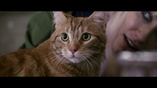 A Street Cat Named Bob still 6