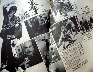 Tai Chi Shadow Boxing still 3