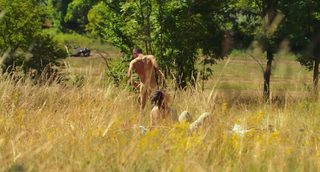 Charlatan still 7