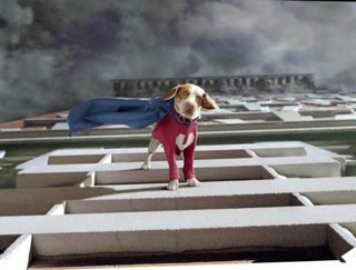 Underdog still 1