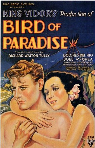 Bird of Paradise still 2