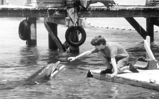 Flipper still 1