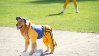 Air Bud: Seventh Inning Fetch still 2